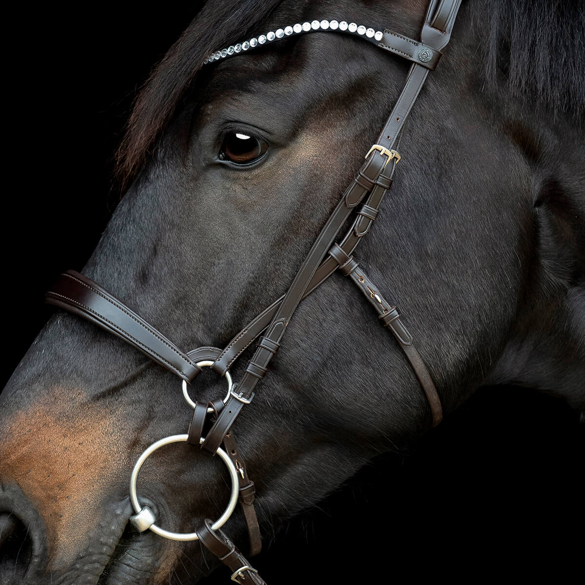 V 152360479 01 catago gentle bridle kindstykker brun