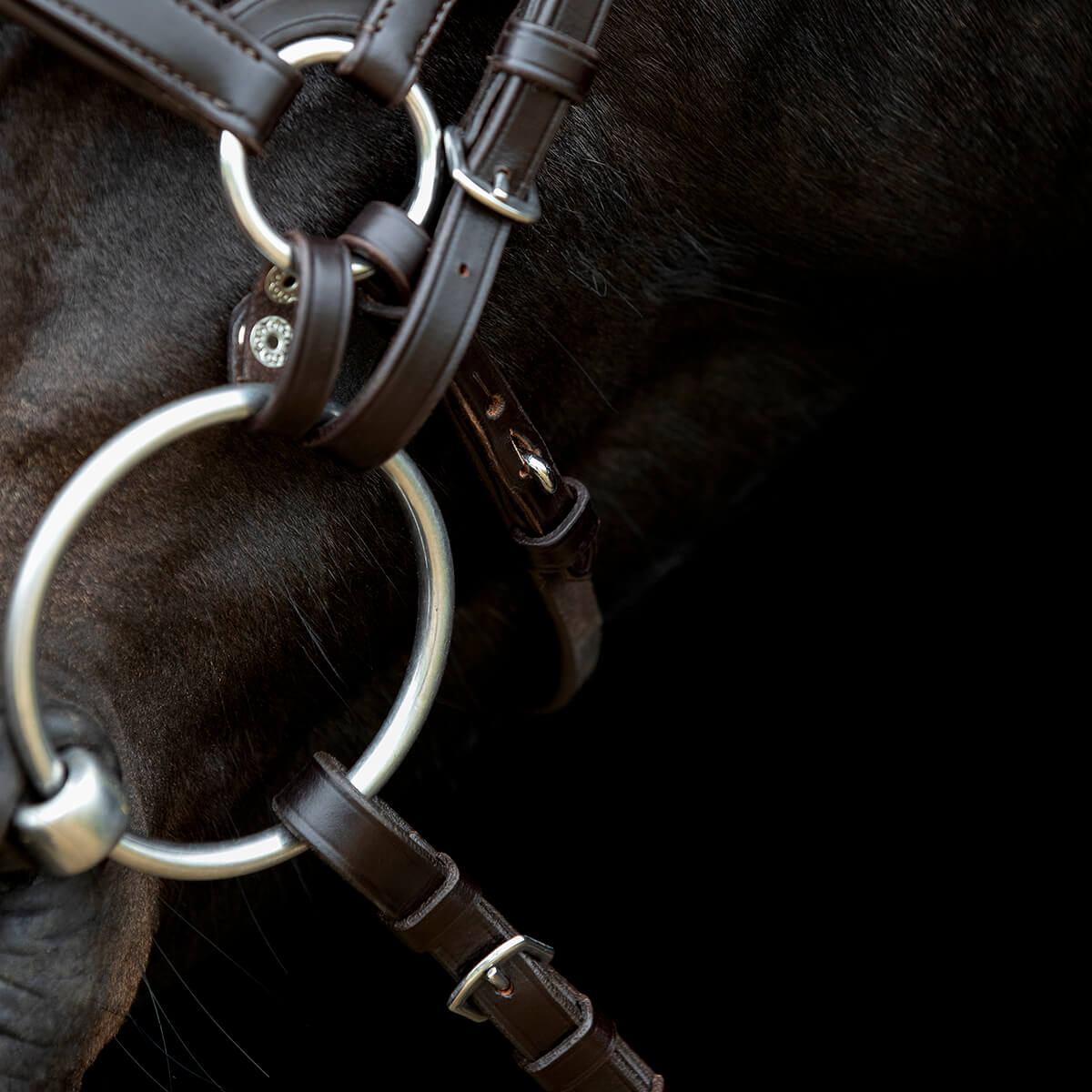 V 152360485 01 catago gentle bridle næsebåndsrem brun