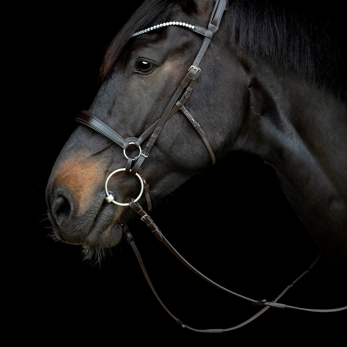 V 152360485 01 catago gentle bridle næsebåndsrem brun