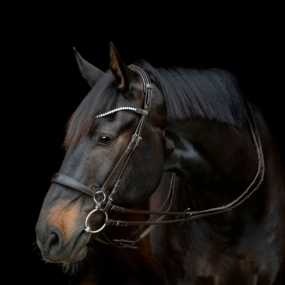 V 152360497 01 catago gentle bridle nakkerem brun
