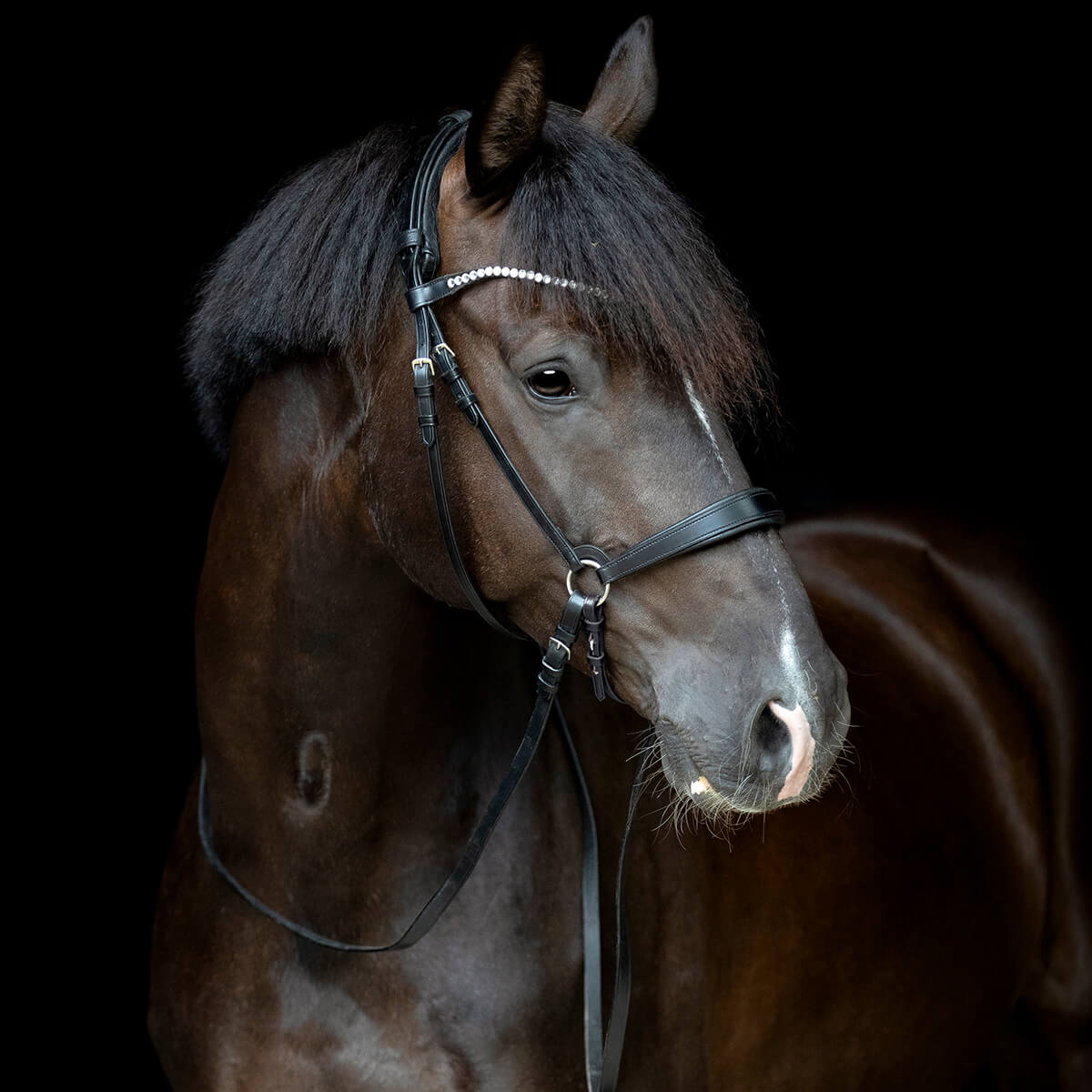 V 15236050 01 catago gentle bridle næsebånd sort