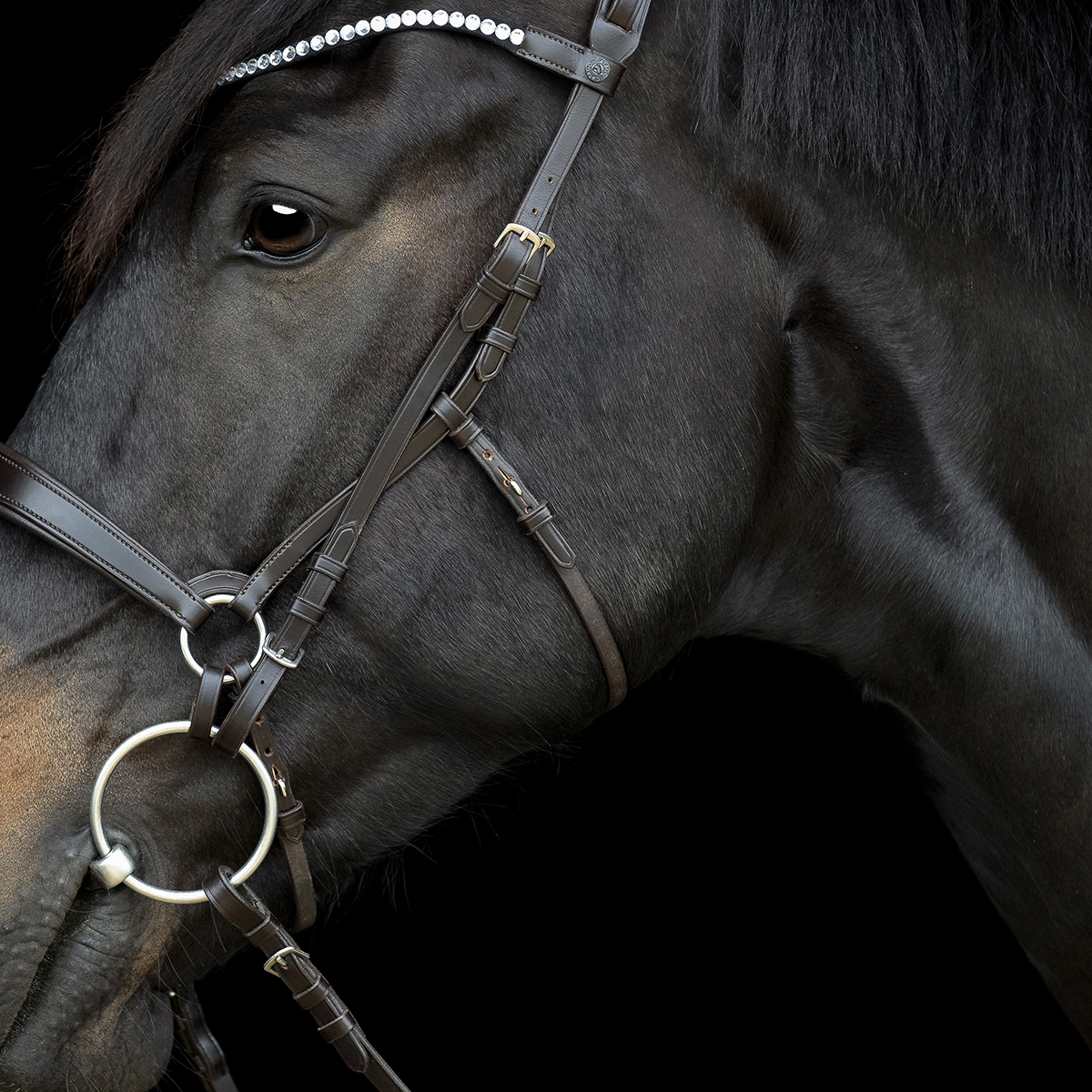 V 152360504 01 catago gentle bridle kæberem brun