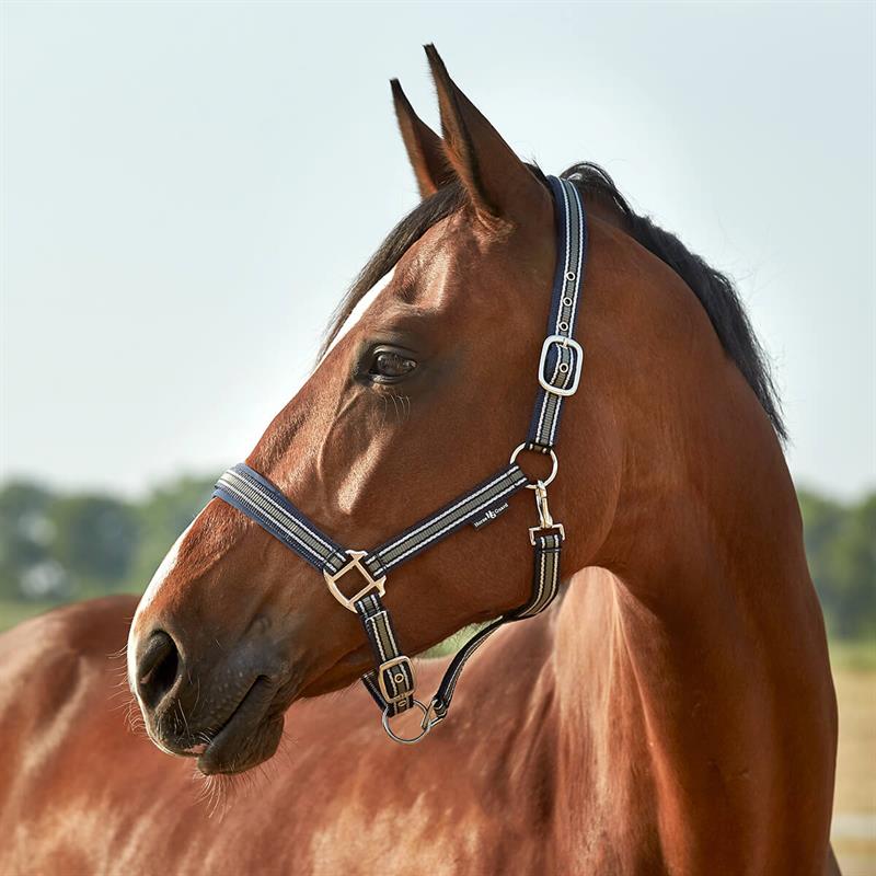 01 V 152370053 02 horse guard grime