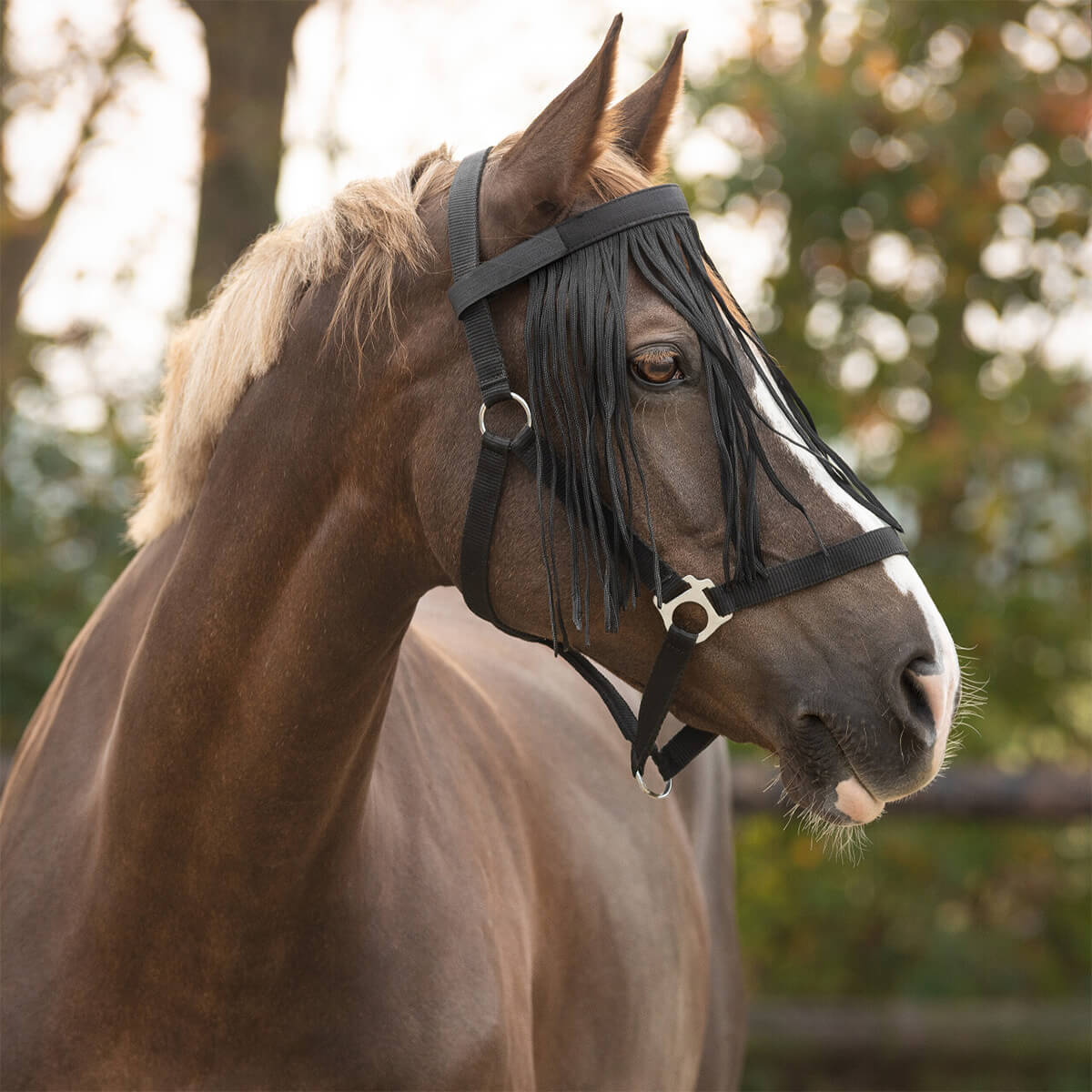 fluenet til hest 00