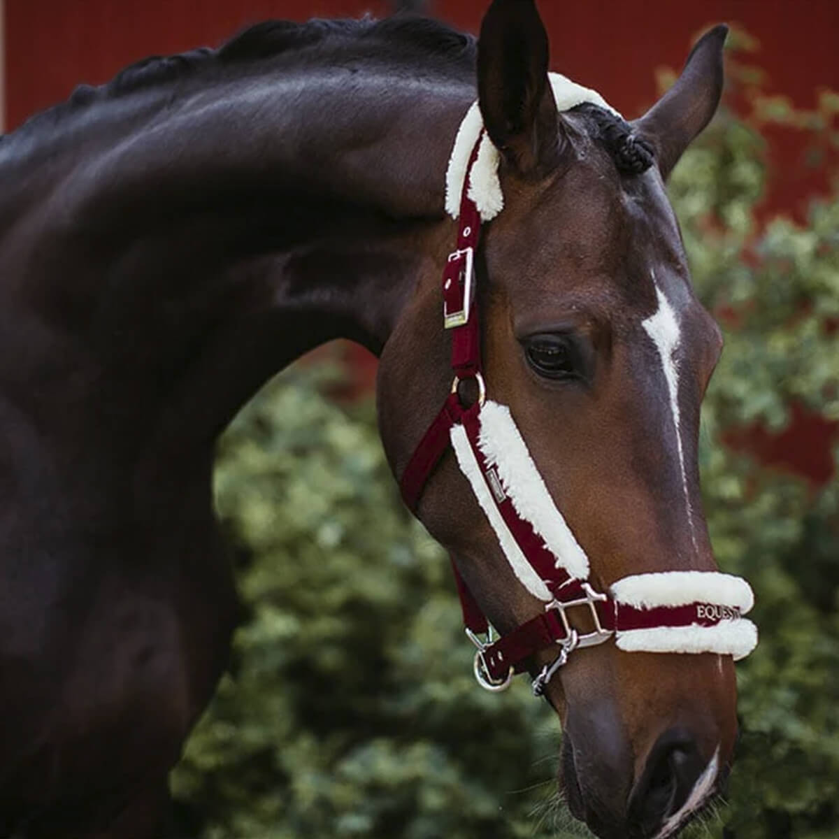 EquestrianStockholm Grime plys træktov Bordeaux V 152370665 01