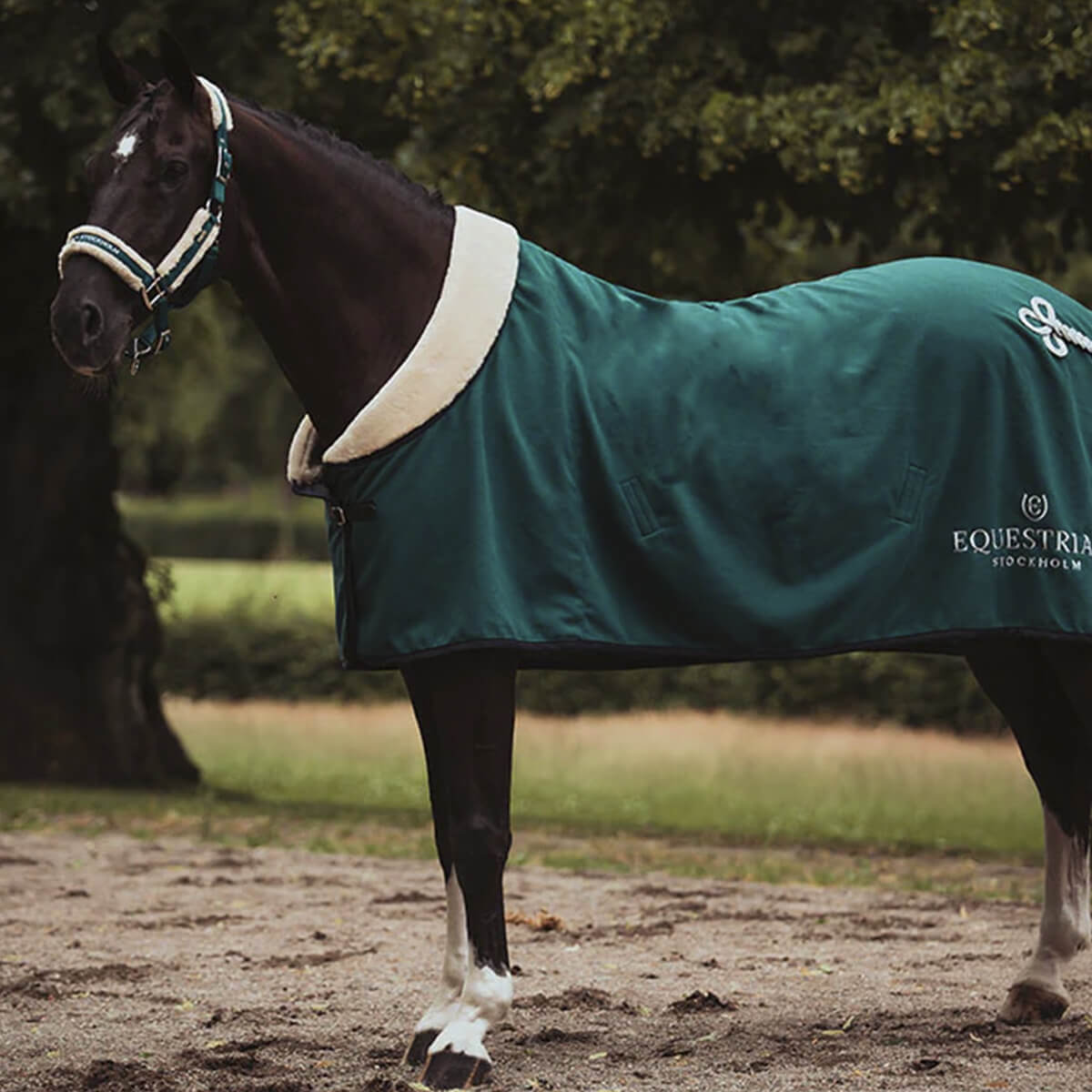 01 V 152370671 01 equestrian stockholm grime med plys emerald