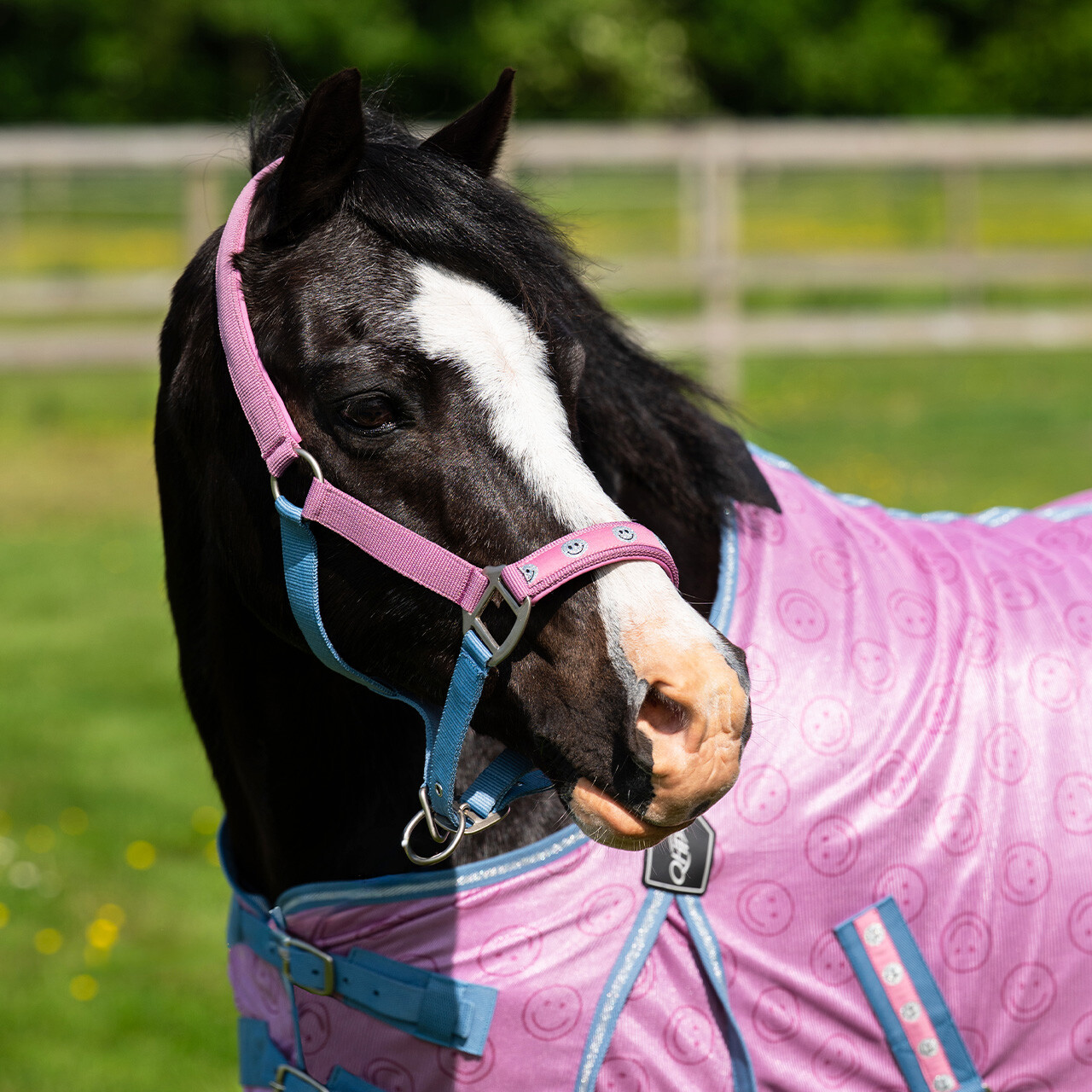 QHP Rosalynn grime Pink and blue 01