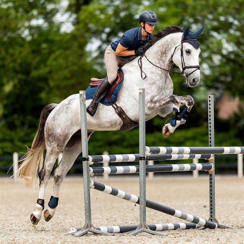 01 V 163303138 01 br polo herre sort