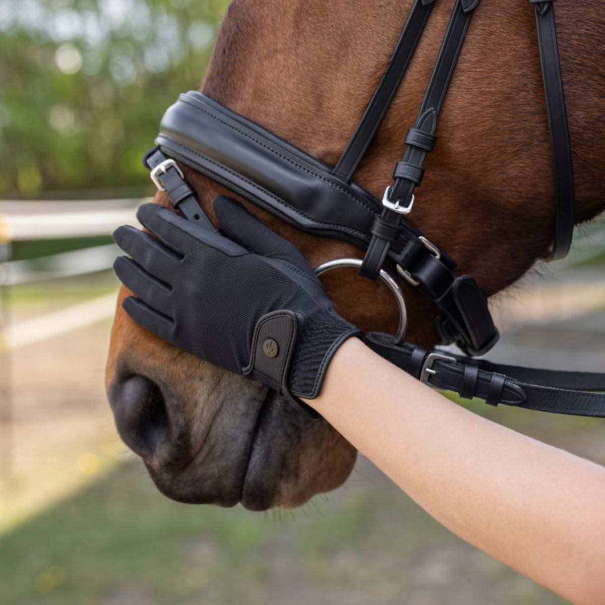 Covalliero Premium Ridehandsker Sort 1