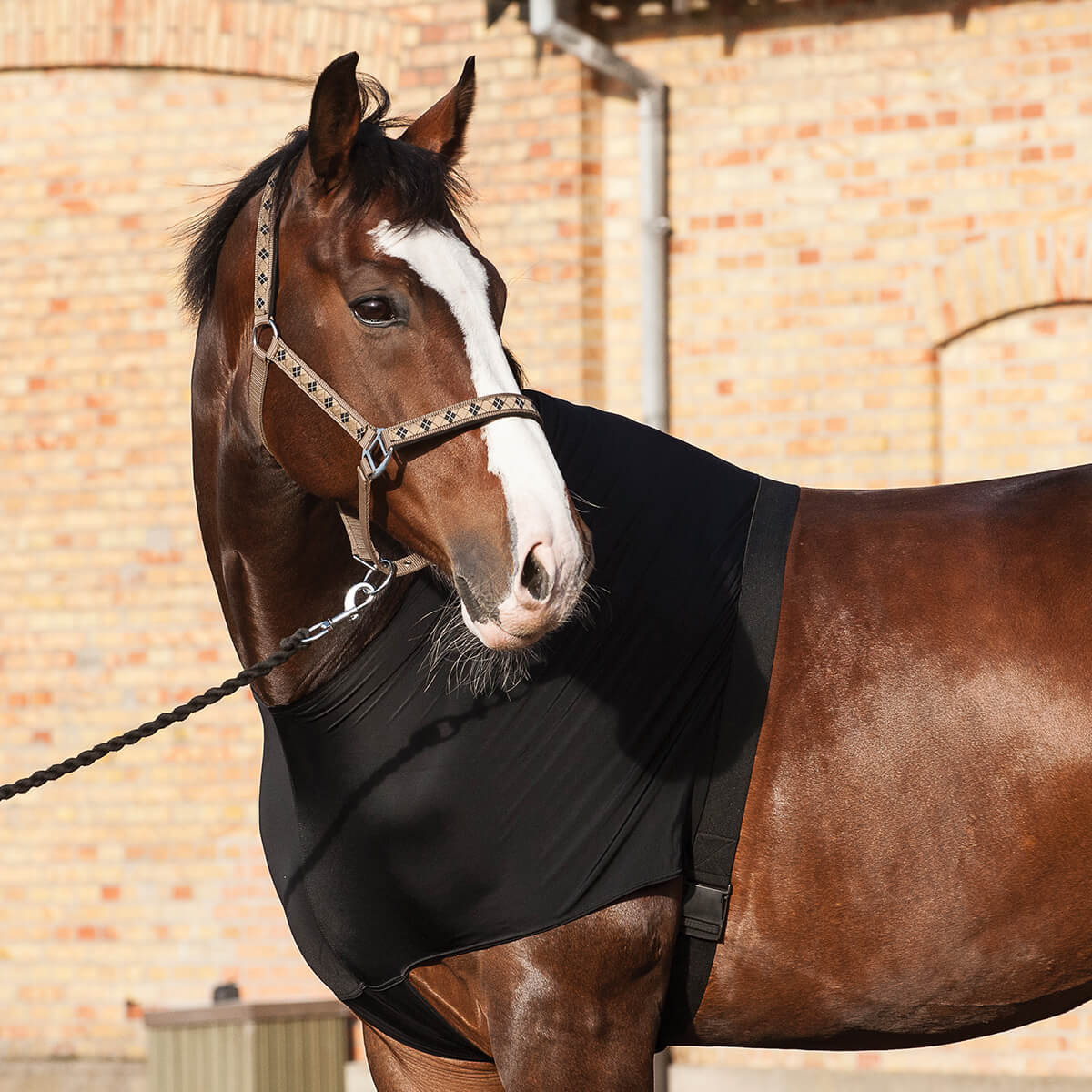 01 V K17762166 01 catago fir tech daekken undertroeje hest