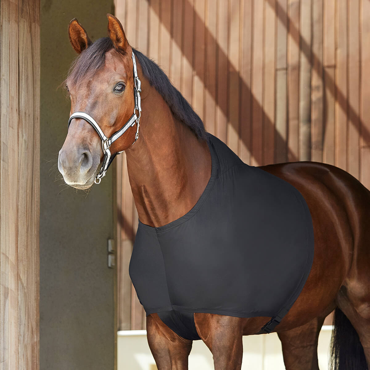 01 V K17762166 01 catago fir tech daekken undertroeje hest