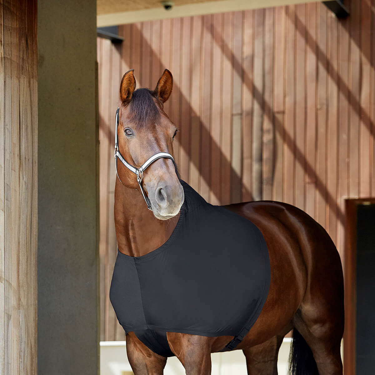 01 V K17762166 01 catago fir tech daekken undertroeje hest