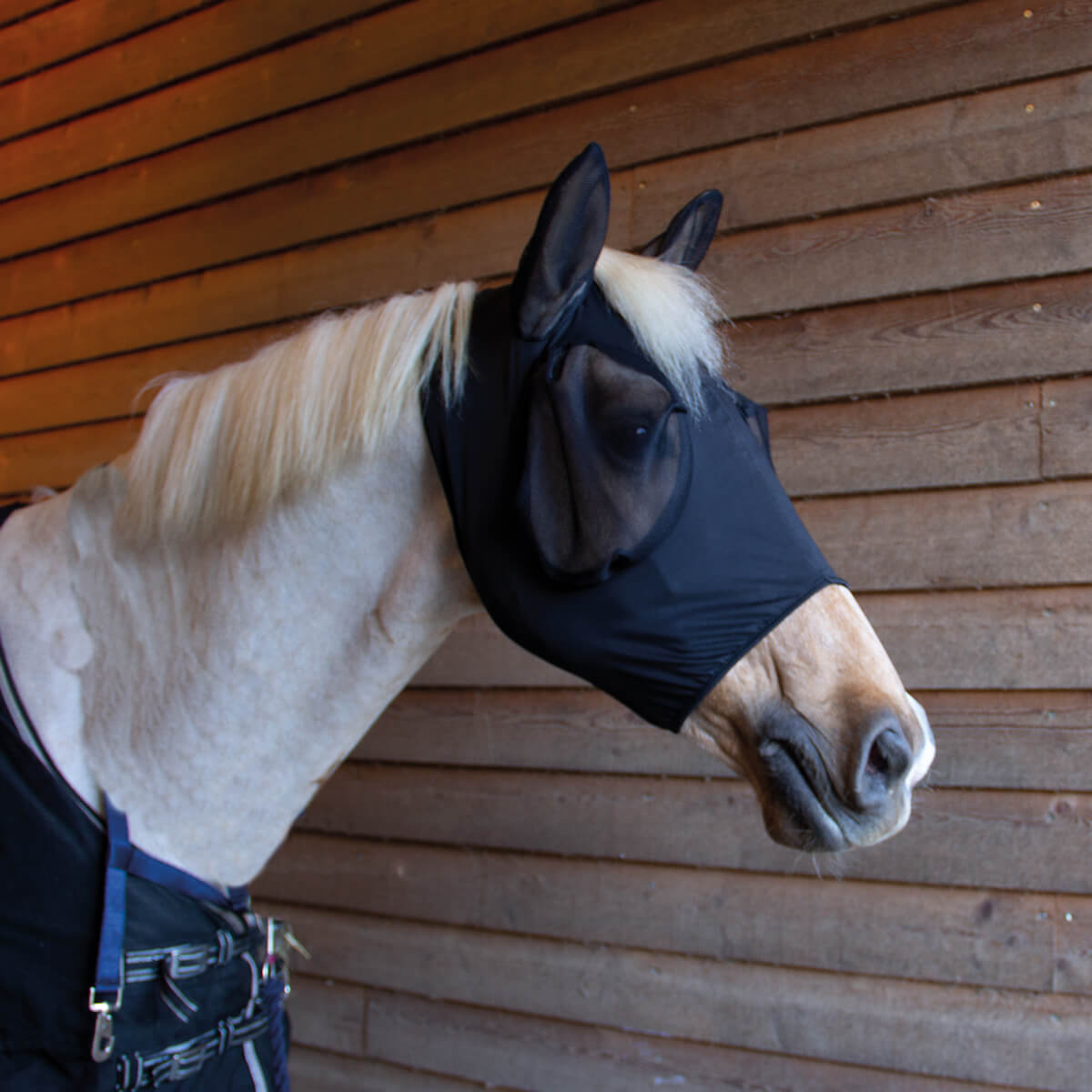 CATAGOFIR Tech Fluemaske Sort 01