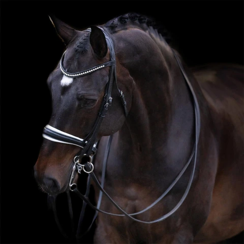 Ggm Rjdin Imperial Riding
