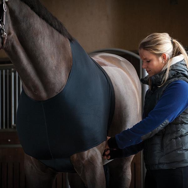 01 V K9429949 01 catago undertroeje hest