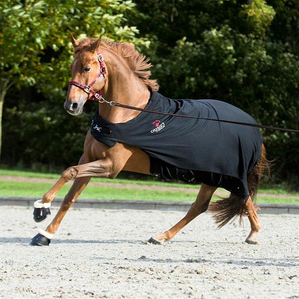 01 V K9540548 01 catago fir tech walker daekken sort