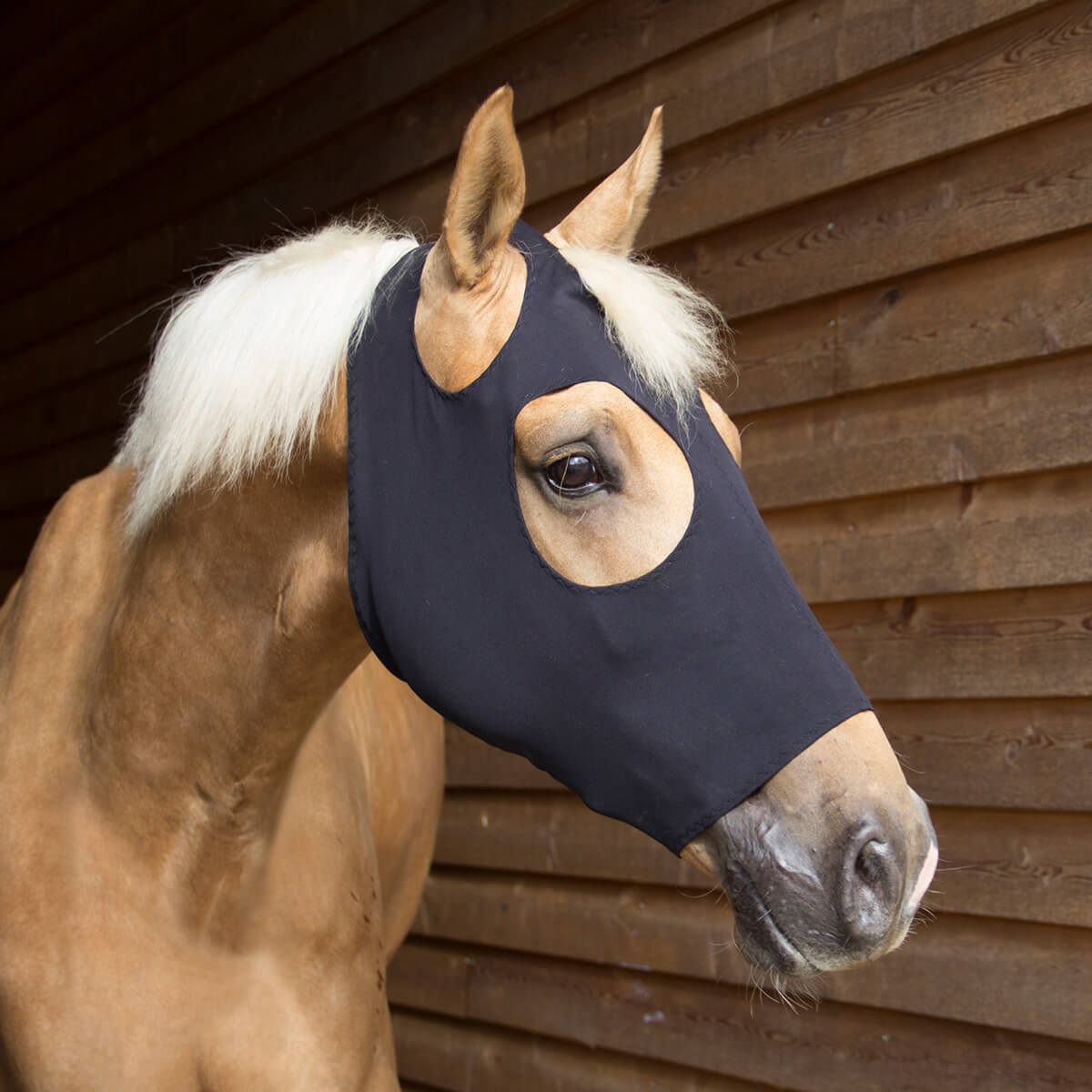 CATAGOFIR Tech Maske Sort 01